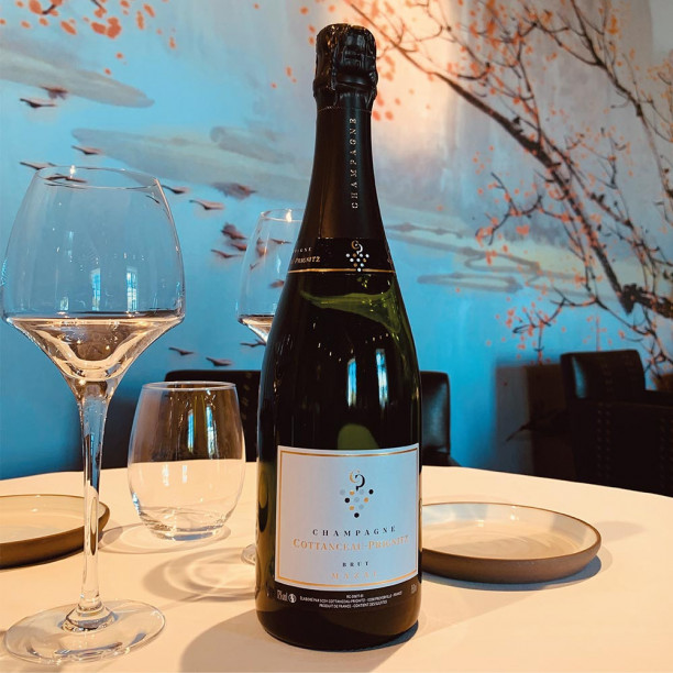 Champagne COTTANCEAU-PRIGNITZ BRUT Mazal Chardonnay Pinot Noir Meunier, dégustation Champagne COTTANCEAU-PRIGNITZ BRUT Mazal Chardonnay Pinot Noir Meunier, dégustation